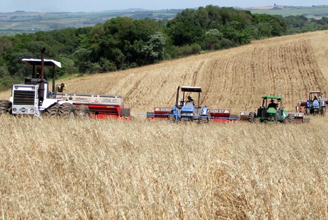 Semeadura iniciou nesta quarta-feira (20/10)