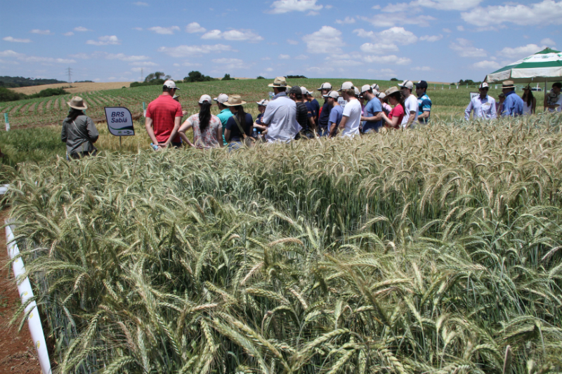 Dia de Campo de Inverno da Copercampos realizado em 2014